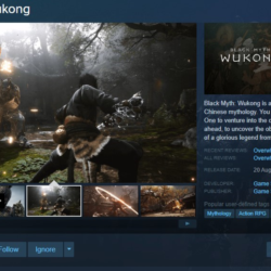 Black Myth: Wukong Steam Gift (RU)