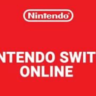 Nintendo Switch Online Подписка 12 месяцев БРАЗИЛИЯ