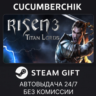 Risen 3 - Titan Lords STEAM GIFT AUTO RU МИР