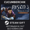 Risen 3 - Complete Edition STEAM GIFT AUTO RU МИР