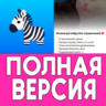 Zebra Блюр, Эффекты для Фото PRO iPhone ios AppStore