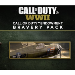 Call of Duty:WWII - Call of Duty Endowment Bravery Pack (DLC) Region free Steam Key