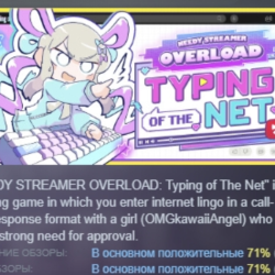 NEEDY STREAMER OVERLOAD: Typing of The Net АВТОДОСТАВКА STEAM GLOBAL МГНОВЕННО ЛИЦЕНЗ