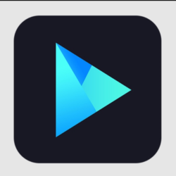 Vidmore Player (Windows) Лицензия на 1 год