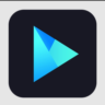 Vidmore Player (Windows) Лицензия на 1 год