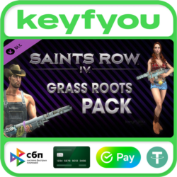 Saints Row IV: Grass Roots Pack / STEAM DLC КЛЮЧ