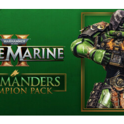 Warhammer 40,000: Space Marine 2 - Salamanders Champion