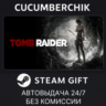 Tomb Raider STEAM GIFT AUTO RU МИР