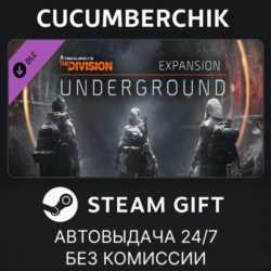 Tom Clancy&acute;s The Division - Underground STEAM GIFT AUTO RU МИР