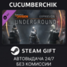 Tom Clancy&acute;s The Division - Underground STEAM GIFT AUTO RU МИР