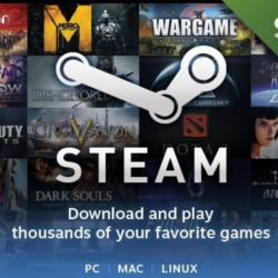 Steam Wallet Gift Card $100 USD