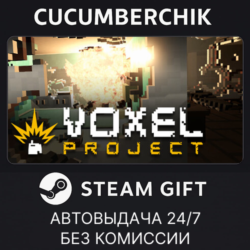 Voxel Project VR✅STEAM GIFT AUTO✅RU МИР