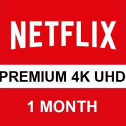 АККАУНТ NETFLIX PREMIUM НА ОДИН МЕСЯЦ