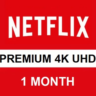 АККАУНТ NETFLIX PREMIUM НА ОДИН МЕСЯЦ