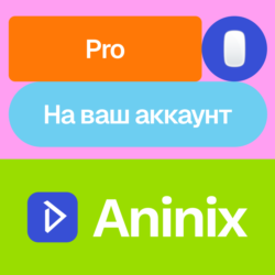 Aninix Pro | Месяц, год | Без входа