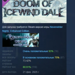 Neverwinter Nights: Enhanced Edition Doom Icewind Dale DLC AUTODELIVERY STEAM РОССИЯ
