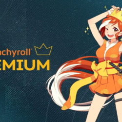 Crunchyroll Mega Fan    | 1-12 месяцев | Новый и ста