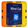 AceThinker Wind Cut Аккаунт Windows 24.02.2030