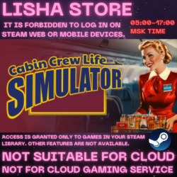 Cabin Crew Life Simulator Стим Оффлайн на 90 дней