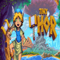 Tiny Thor (Steam ключ / РФ Весь Мир)