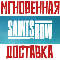 Saints Row  (2022)  Steam РФ СНГ КЛЮЧ       Подарок