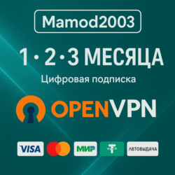 OpenVPN Франция Безлимитный трафик 1 МЕСЯЦ (.ovpn)