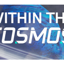 Within the Cosmos 💎 АВТОДОСТАВКА STEAM GLOBAL МГНОВЕННО ЛИЦЕНЗИЯ