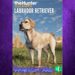 ☀️theHunter Call of the Wild - Labrador Retriever XBOX DLC