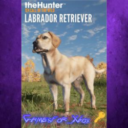 theHunter Call of the Wild - Labrador Retriever XBOX DLC Ключ