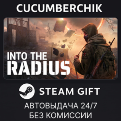 Into the Radius VR✅STEAM GIFT AUTO✅RU МИР