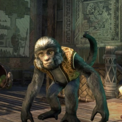 The Elder Scrolls Online   КЛЮЧ  Обезьяна питомец