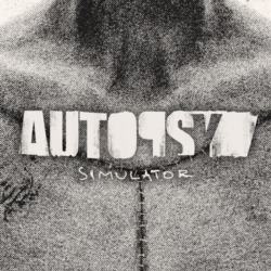✅ Autopsy Simulator Xbox Series X|S активация