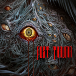 🔴 Post Trauma❗️PS5 PS 🔴 Турция / Индия