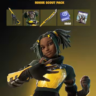 Fortnite Rogue Scout Pack | EPIC GAMES