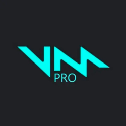 VOICEMOD PRO - НЕОГРАНИЧЕННАЯ ЛИЦЕНЗИЯ