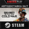 Call of Duty: Black Ops Cold War Standard Edition STEAM
