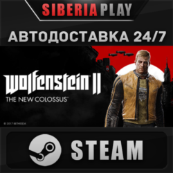 Wolfenstein II: The New Colossus  STEAM  RU/UA/KZ/СНГ