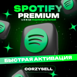 SPOTIFY PREMIUM 1 3 6 12 МЕС