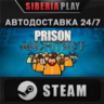 Prison Architect   STEAM   АВТО    Россия