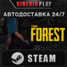 The Forest   STEAM   АВТО    RU/UA/KZ/СНГ