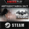 Batman: Arkham Origins Blackgate - Deluxe Edition*STEAM