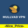 Mullvad VPN Premium  1/2/3 месяцев