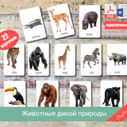 Флеш-карты "Животные дикой природы"