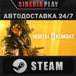 Mortal Kombat 11 STEAM АВТО RU/UA/KZ/СНГ