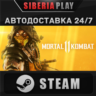 Mortal Kombat 11 STEAM АВТО RU/UA/KZ/СНГ