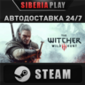 The Witcher 3: Wild Hunt STEAM АВТО RU/UA/KZ/СНГ