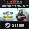 The Witcher 3: Wild Hunt - Complete Edition STEAM AUTO