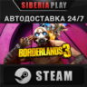 Borderlands 3 STEAM АВТО RU/UA/KZ/СНГ
