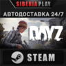 DayZ Cool Edition STEAM АВТО RU/UA/KZ/СНГ