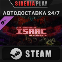 The Binding of Isaac: Afterbirth DLC STEAM АВТО